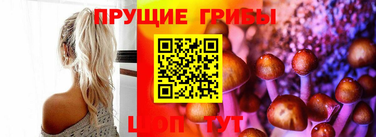 Галлюциногенные грибы Psilocybe  Вход с VPN  Ирбит 